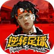 小鸟体育app下载官网