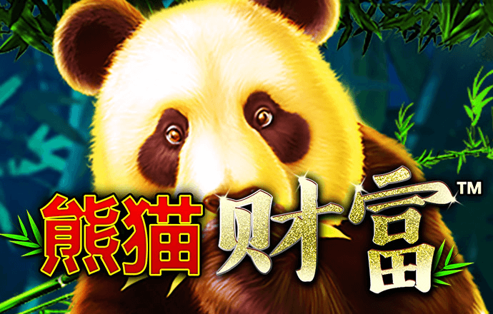 淘球app下载安卓版截图2
