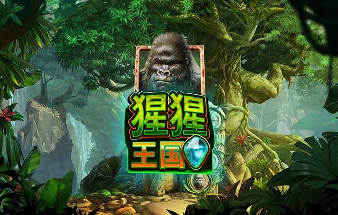 cbin仲博官方网页版